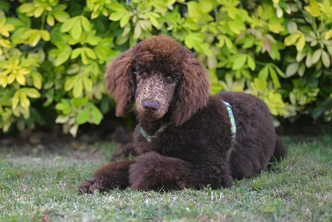 Conclusion (Image Credits: Pixabay)