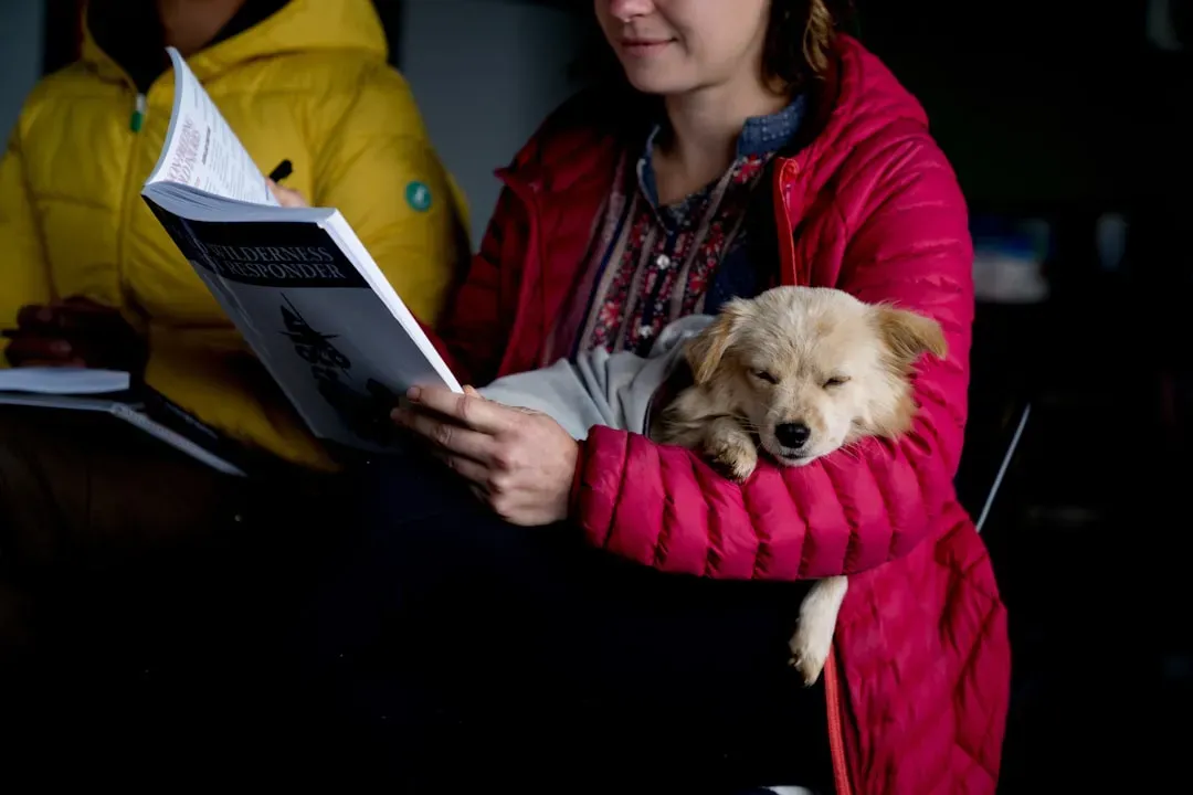 Your Dog Is Reading Your Emotions - All of Them (Image Credits: Unsplash)
