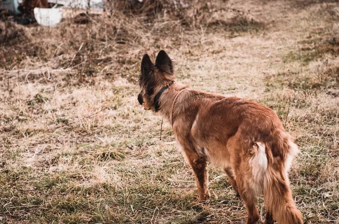 They Turn Their Back to You (Image Credits: Unsplash)