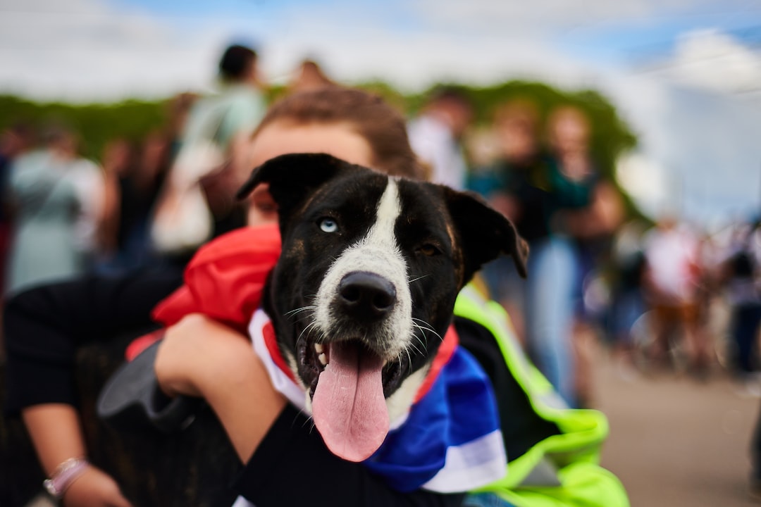 Commands Have Become Mere Suggestions (Image Credits: Unsplash)