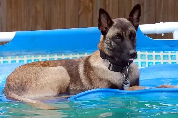 What You Should Choose Instead (Image Credits: Flickr)