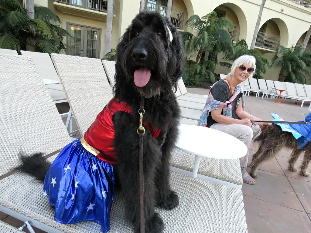 They Settle Calmly Next to You (Image Credits: Flickr)