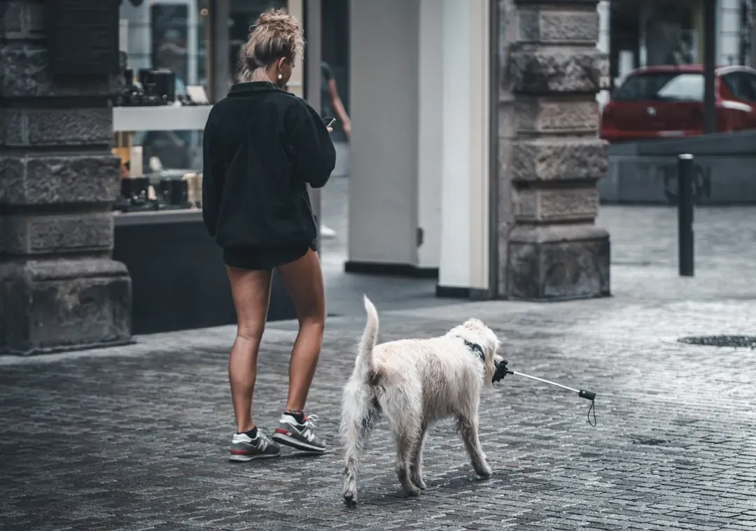 Subtle Changes in How They Walk or Stand (Image Credits: Unsplash)
