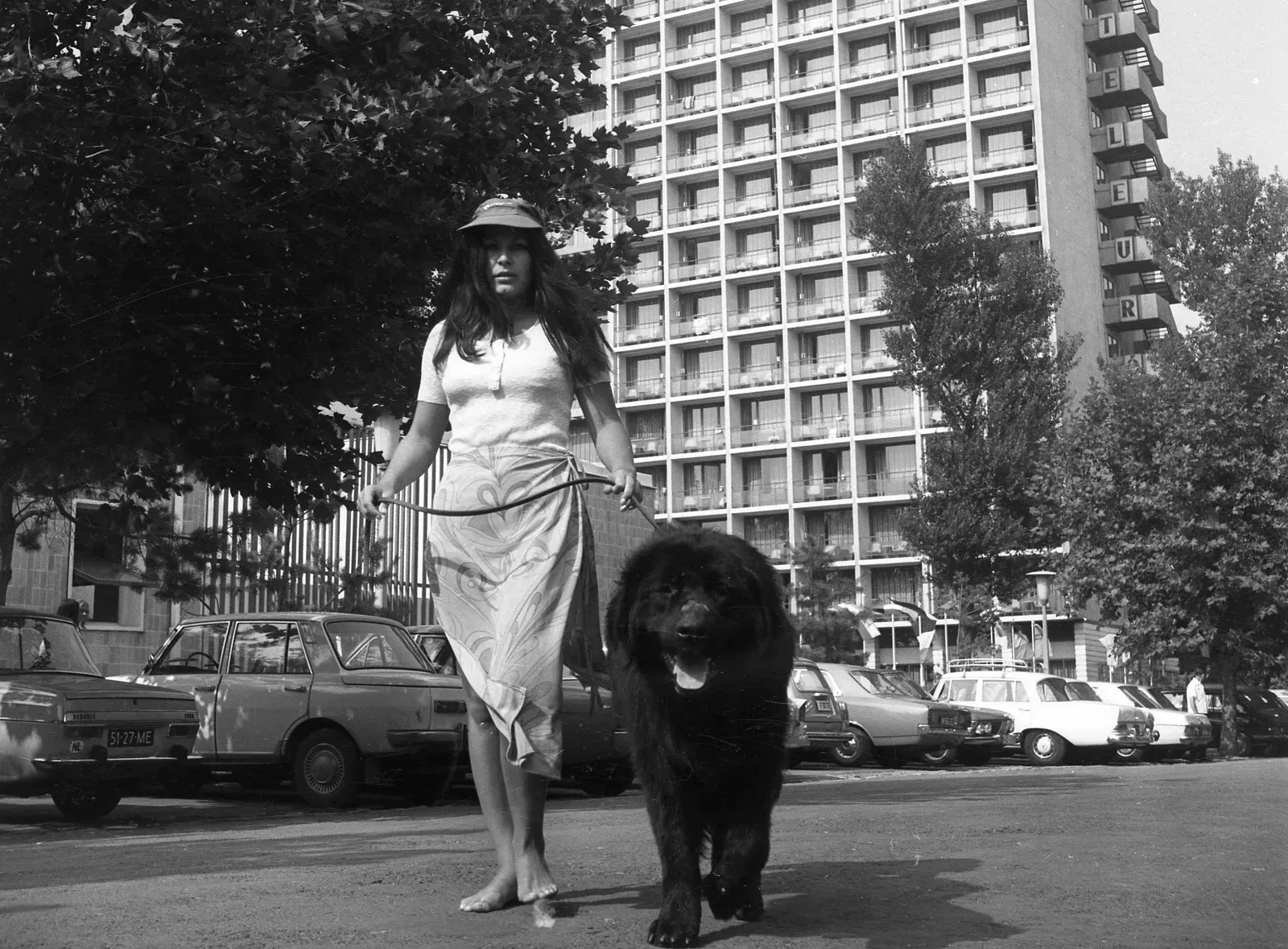 Taurus: The Steady and Loyal Presence (By FOTO:Fortepan  -  ID 10867: Adományozó/Donor: Urbán Tamás., CC BY-SA 3.0)