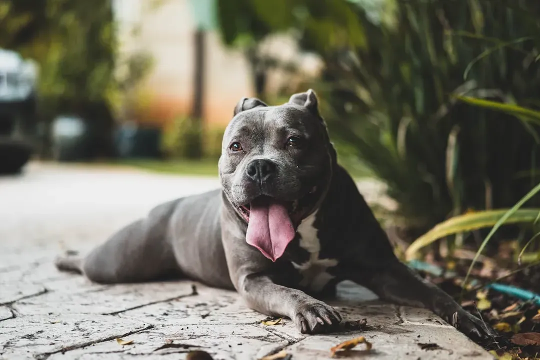 #7: Changes in Breathing, Panting, or Facial Expression (Image Credits: Unsplash)