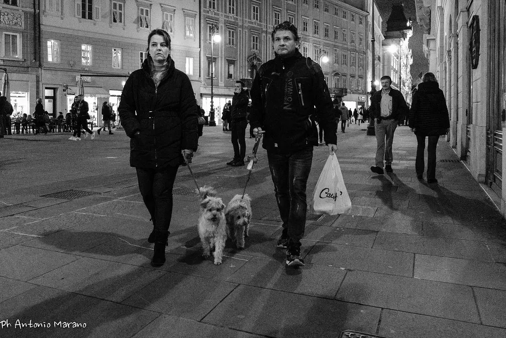 What "Low-Maintenance" Actually Means in a City Context (Antonio Marano, Flickr, CC BY 2.0)