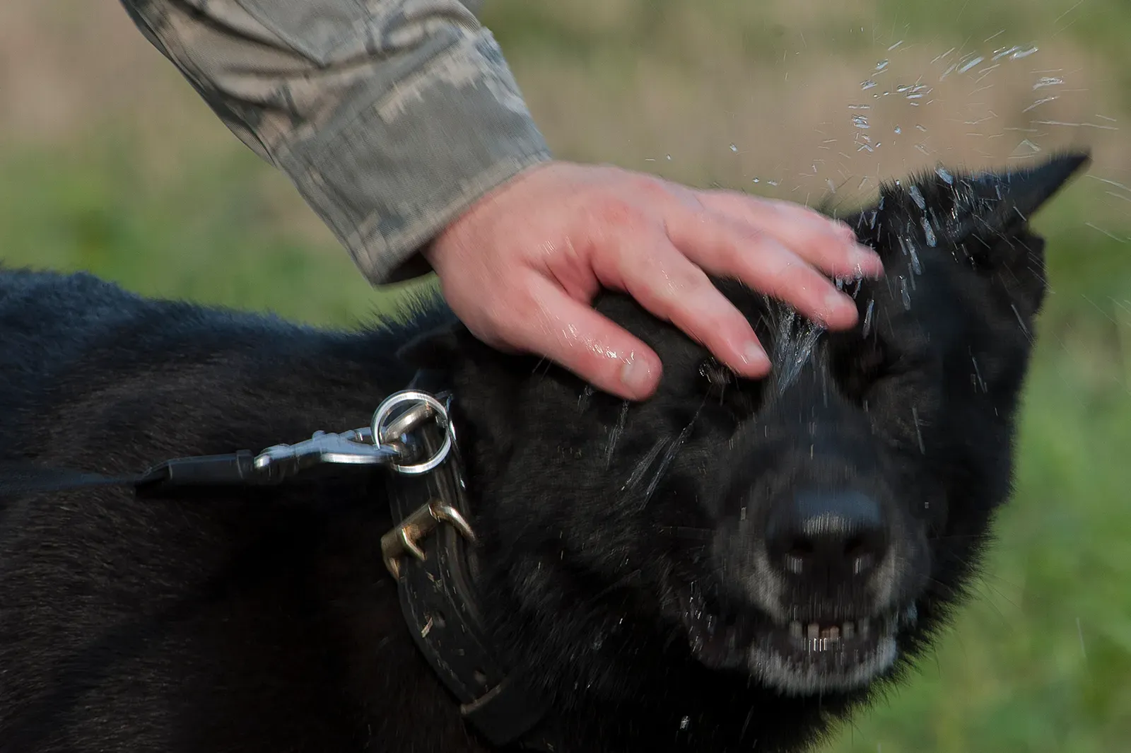 3. You Walk More - Way More Than You Think (Image Credits: Wikimedia)