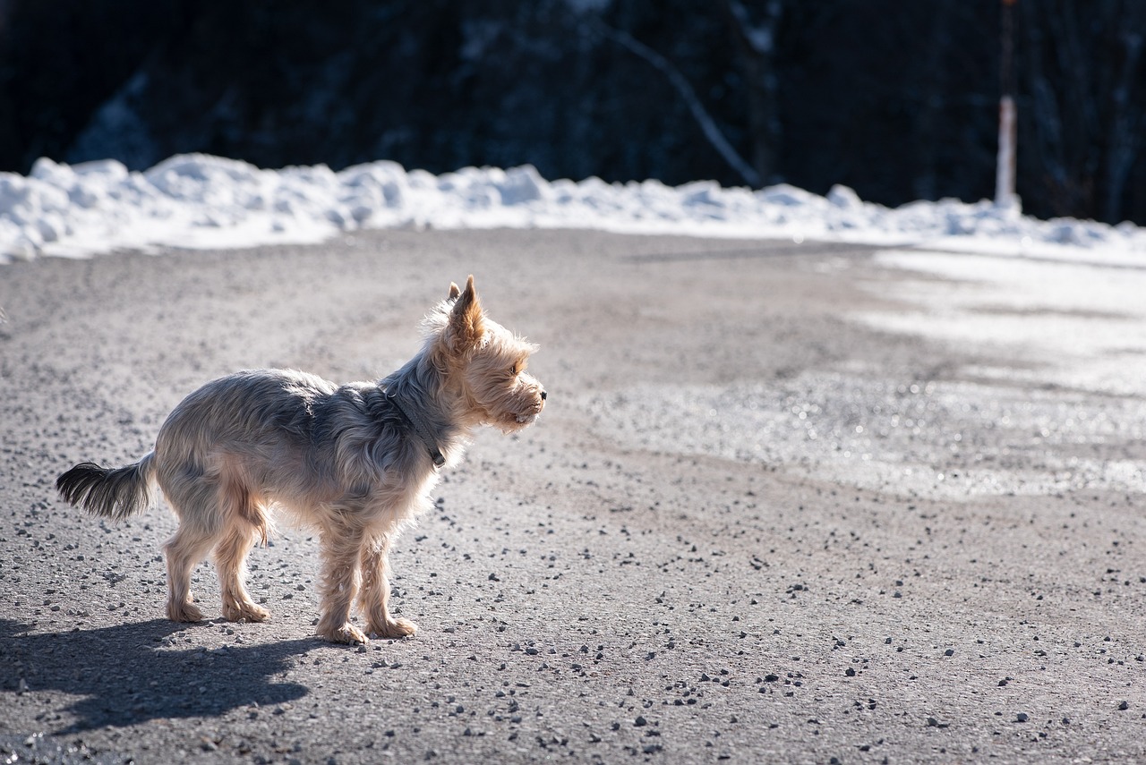 Understanding What Really Happens When You Leave (Image Credits: Pixabay)