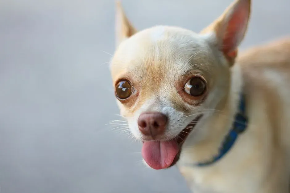 #11 - A Suddenly Bigger, Bulging Eye Is a True Emergency, Not "Puffiness" (Image Credits: Pexels)