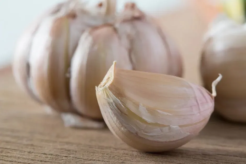 #12 - Bragging About “Natural” Parasite Remedies (Image Credits: Pexels)