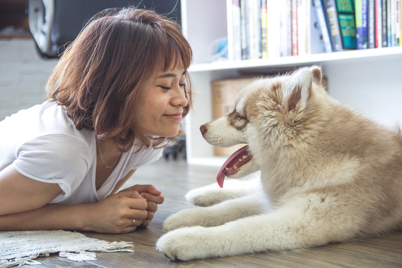 The Emotional Connection Between You and Your Dog (Image Credits: Pixabay)