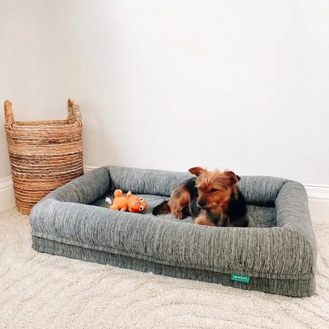 2. Orthopedic Sleeping Surface: More Than Just Comfort (Image Credits: Pexels)