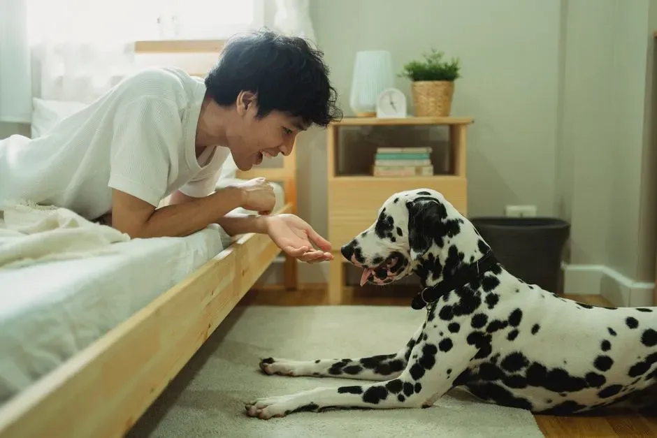 #2 - Their "Wake-Up Call" Lines Up With Your Alarm, Not Sunrise (Image Credits: Pexels)