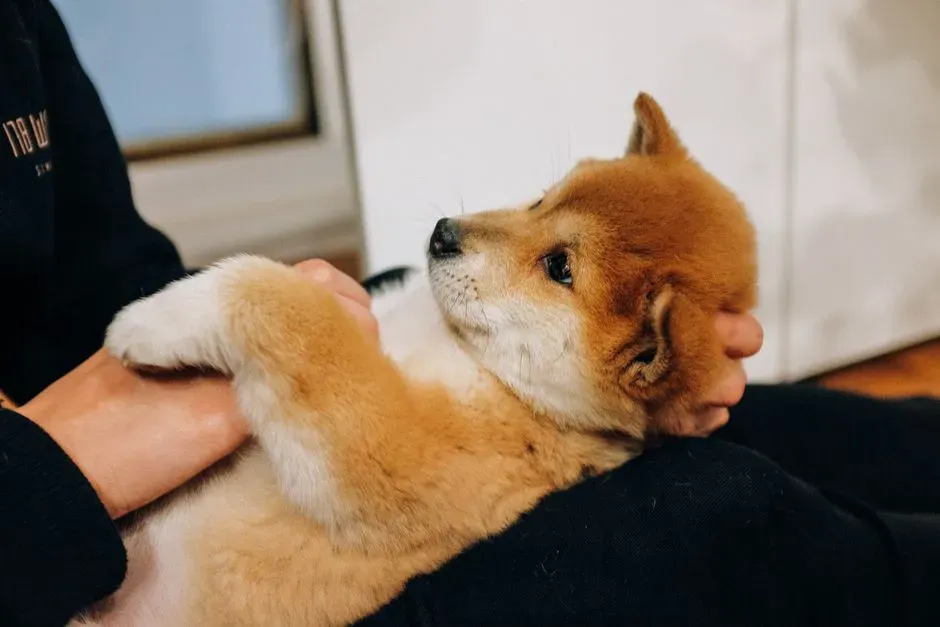 1. I Feel Safe With You (Image Credits: Pexels)