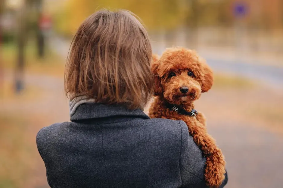 #6: Poodle (Image Credits: Pexels)