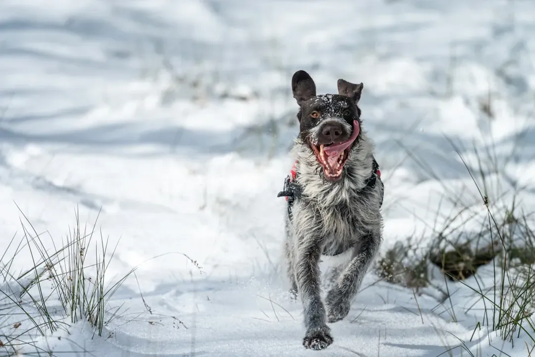 Freedom Of Movement Promotes Physical Health (Image Credits: Unsplash)