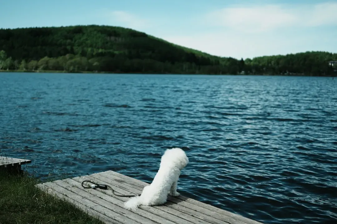 13. They Changed You in Ways You'll Carry Forever (Image Credits: Unsplash)