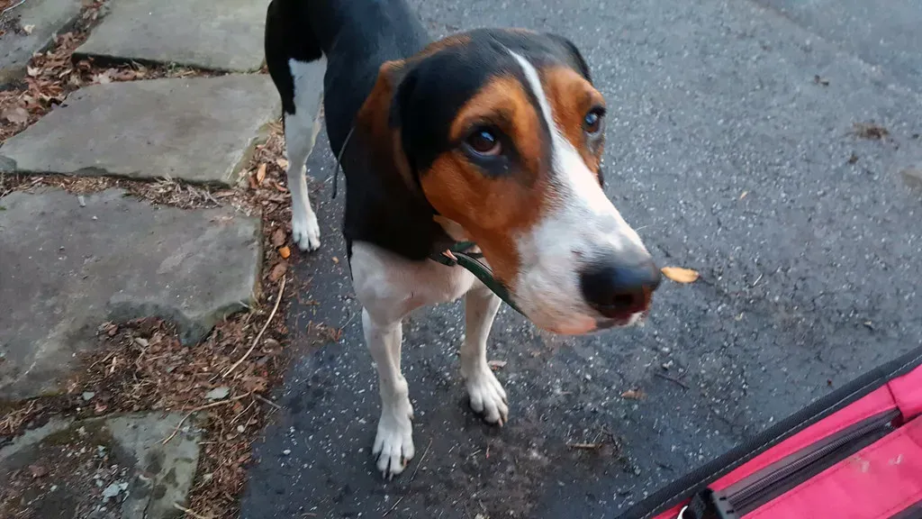 A Gentle Request, Not a Demand (Image Credits: Flickr)