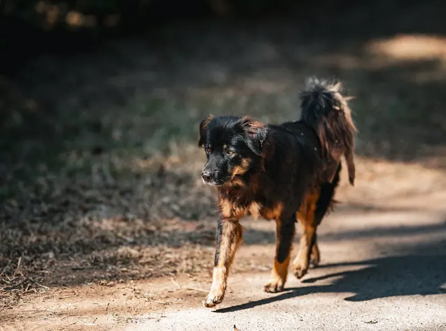 #11. Pacing, Restlessness, and Anxious Energy (Image Credits: Pexels)