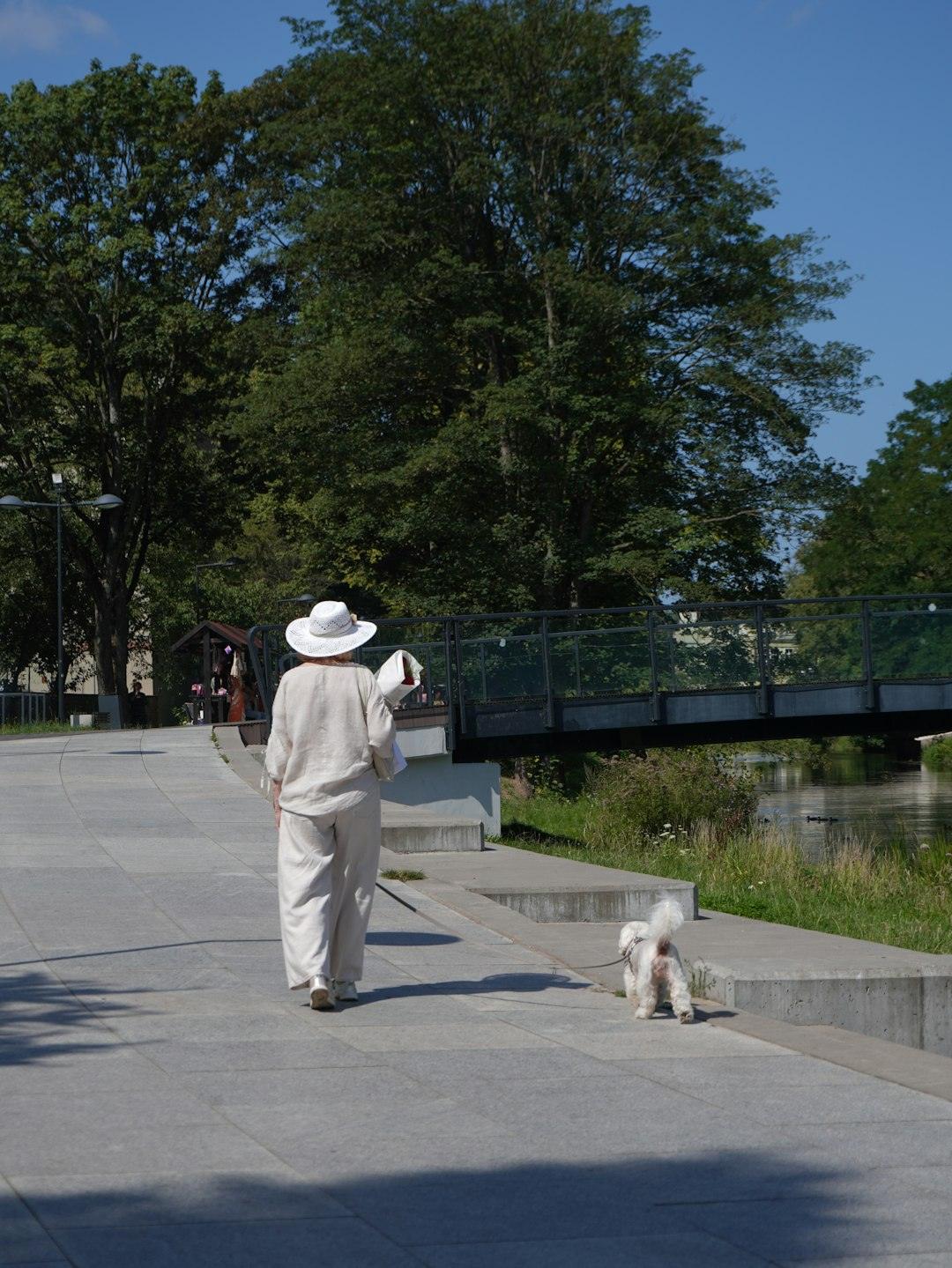 Routine Makes Them Feel Safe in an Unpredictable World (Image Credits: Unsplash)