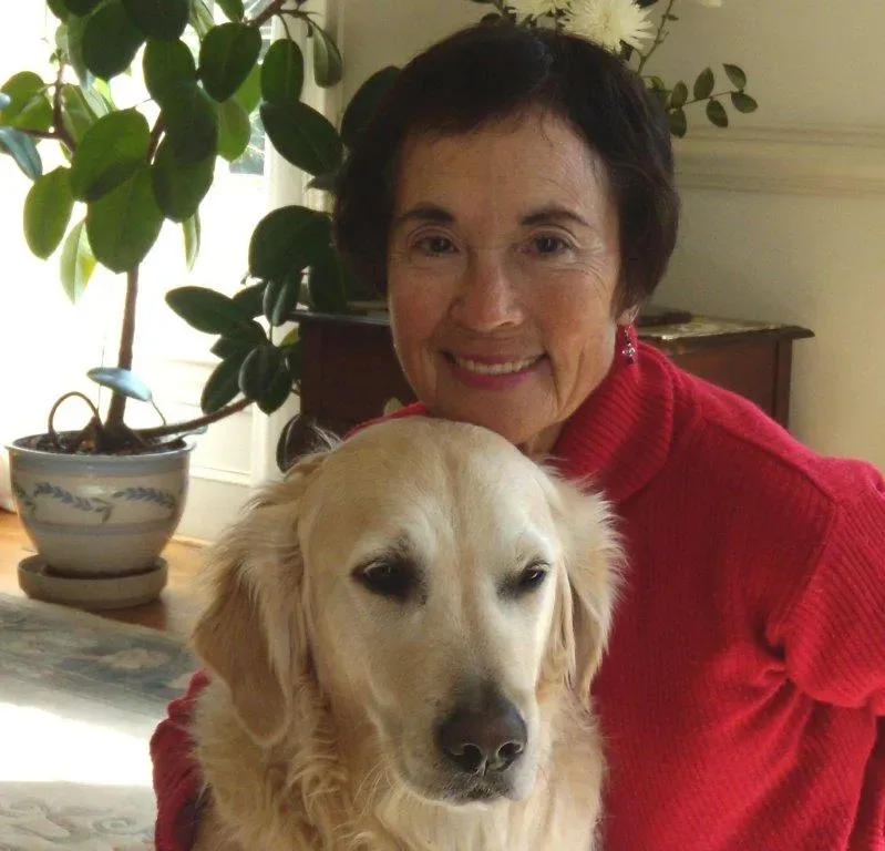 Golden Retriever: The Flexible Friend (Image Credits: Wikimedia)