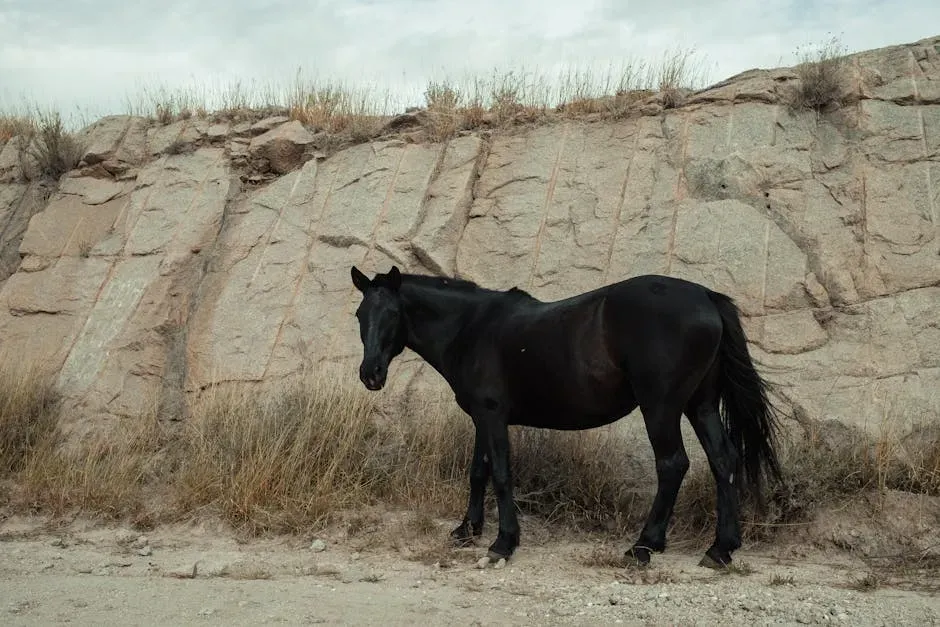 #9. Sagittarius (November 22 – December 21): The Wild Horse (Image Credits: Pexels)