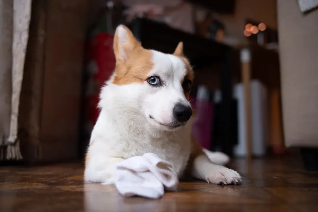 #2 - The "Those Are My Clothes, Not Your Decor" Standoff (Image Credits: Unsplash)