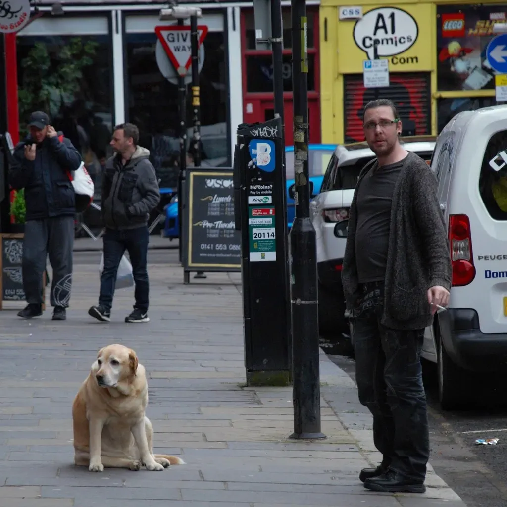 13. They Build a Comforting Sense of Safety (Image Credits: Flickr)