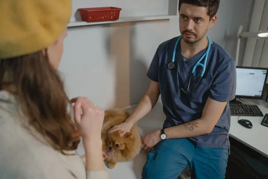 #3 - Your Body Language, Tone, and How You Talk About Your Dog (Image Credits: Pexels)