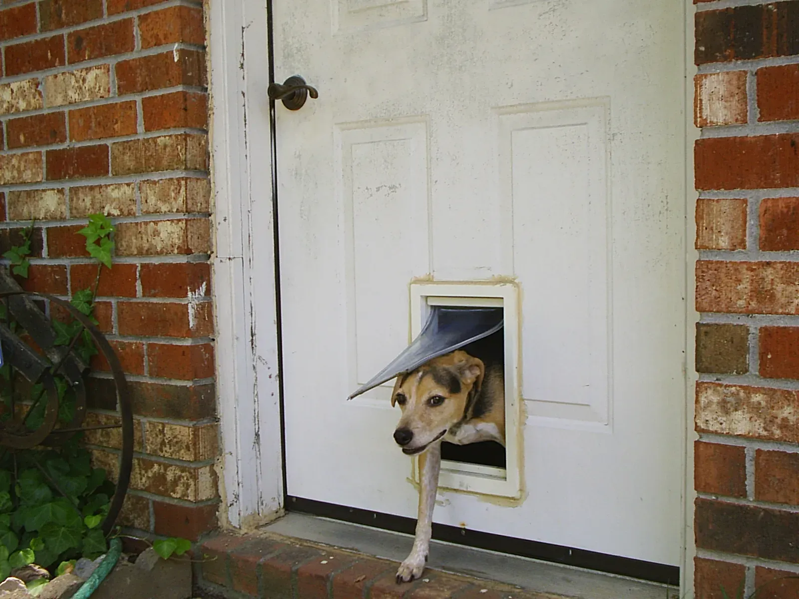 #4 - They Camp Out by a Different Door or Spot (By Unbiassed, Public domain)