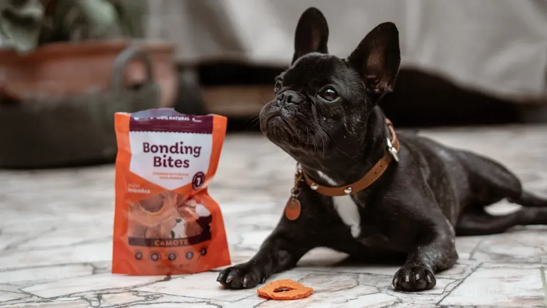 #2 - The Crinkle of Treat Bags and Food Wrappers (Image Credits: Unsplash)