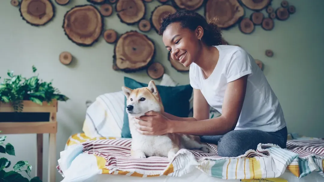 Shiba Inu (Image Credits: Unsplash)