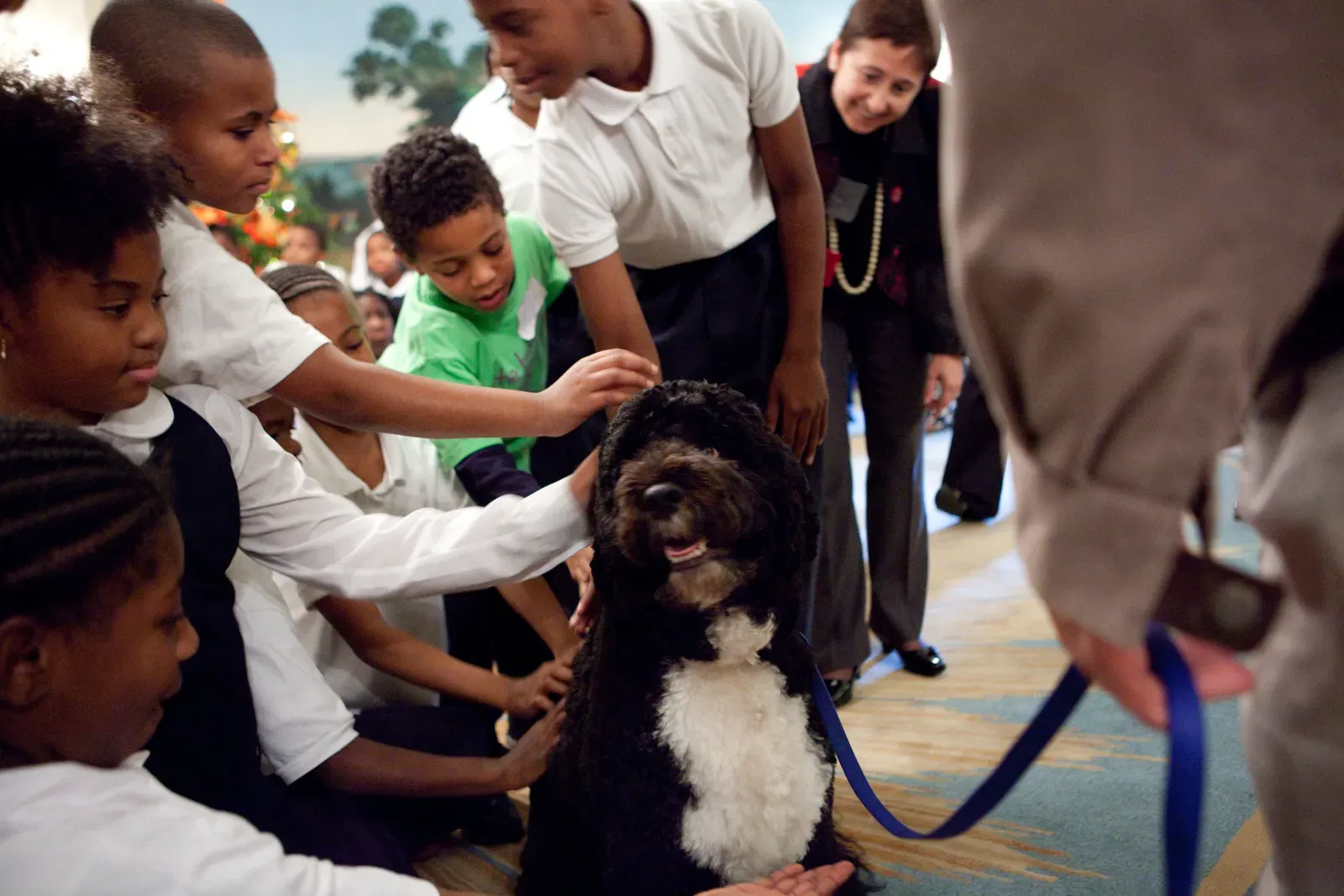 #6 - They Become Experts At Gentle, Predictable Greetings (By The White House, Public domain)