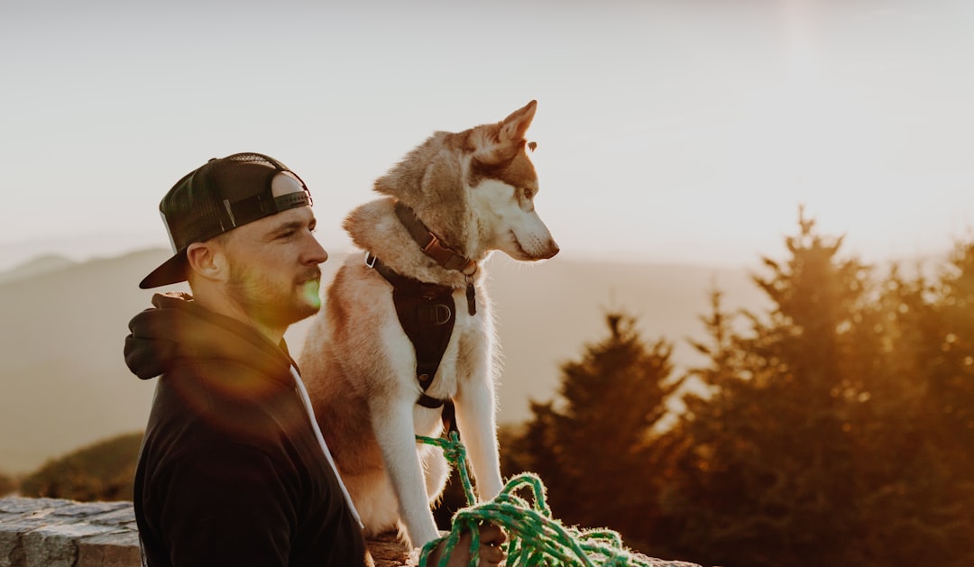 Sagittarius: The Adventure Seekers Dogs Follow (Image Credits: Unsplash)