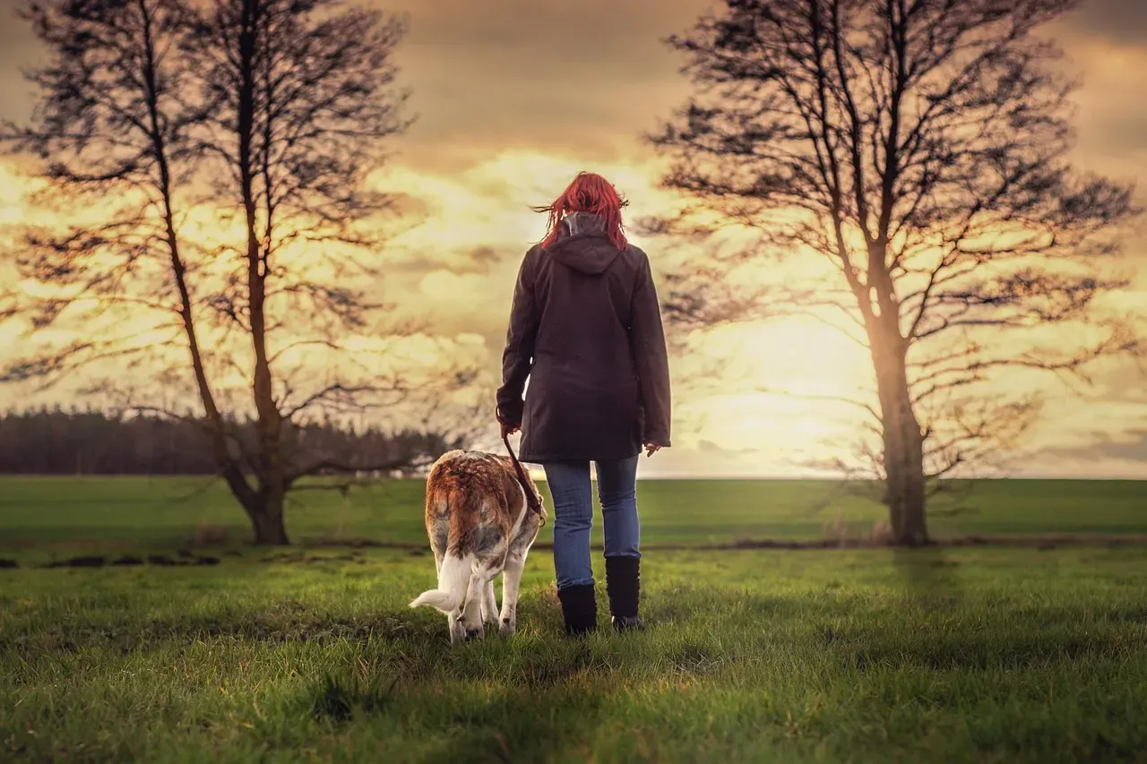 #16 - The Mood-Matching on "Off" Mornings (Image Credits: Pixabay)