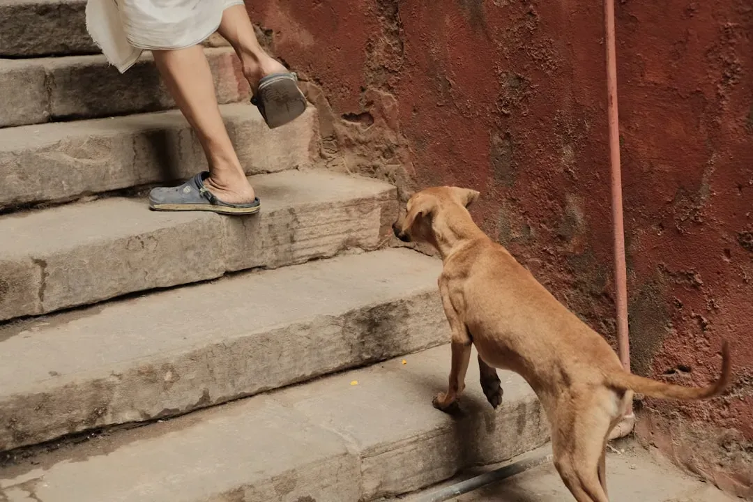 #10 - Avoiding The Stairs, Car, Or Favorite Activities (Image Credits: Unsplash)