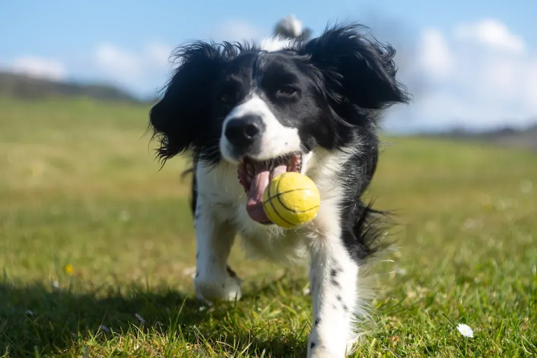 #12 - Those Specific Play Sessions and Games (Image Credits: Unsplash)