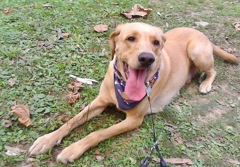 They Teach Us to Live in the Present Moment (Image Credits: Flickr)