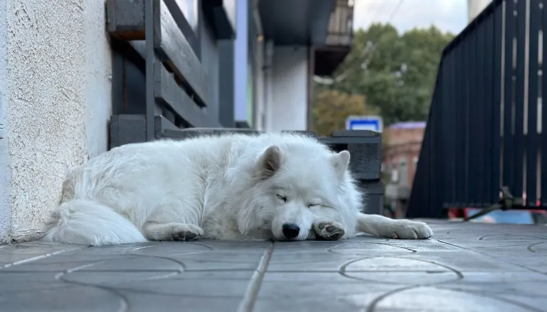 Recognizing the Warning Signs of Overexertion (Image Credits: Unsplash)