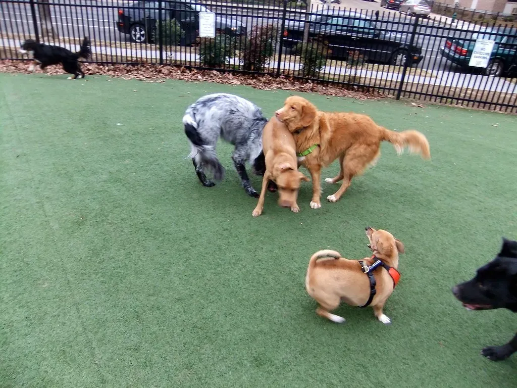 Wrapping It All Up (Image Credits: Flickr)