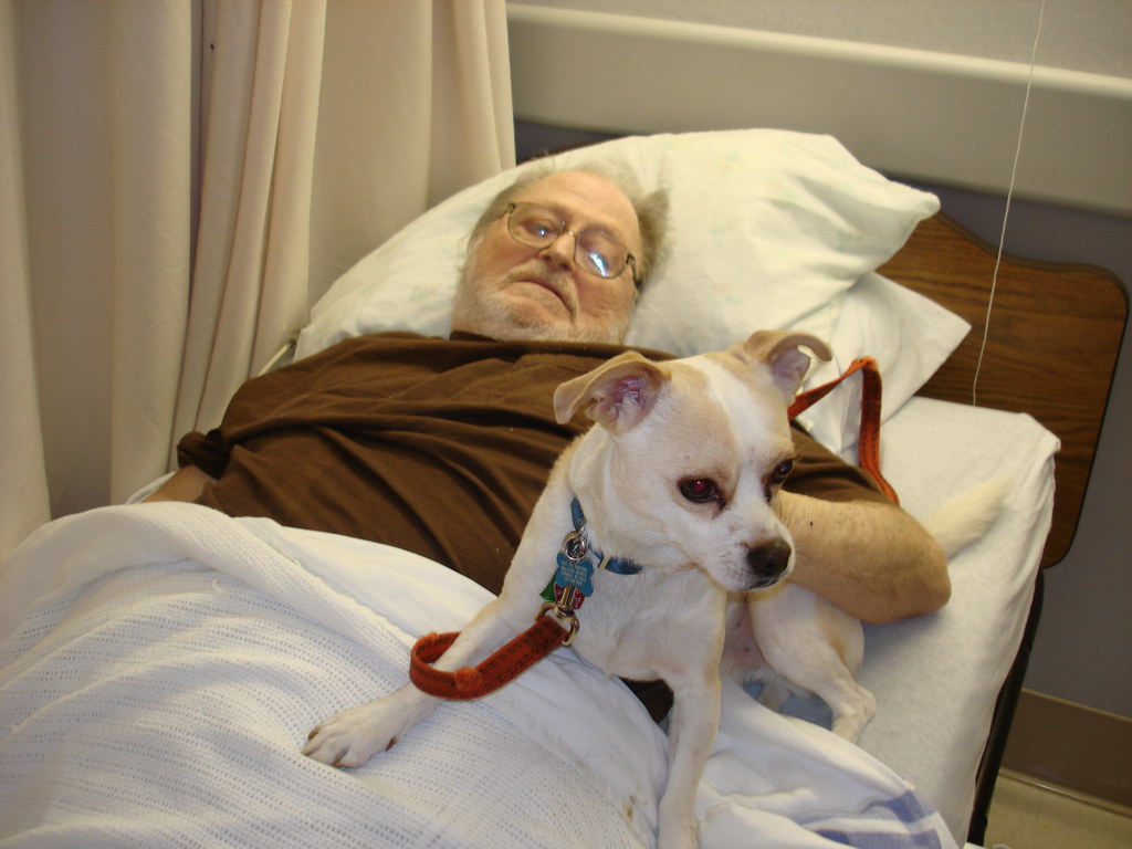 Emotional Support and Stress Relief (Image Credits: Flickr)