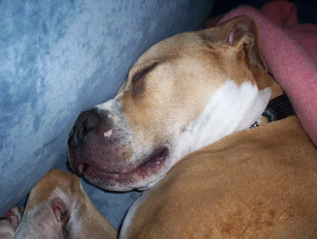 Libra (September 23 – October 22): The Harmony Seeker (jimbomack66, Flickr, CC BY 2.0)