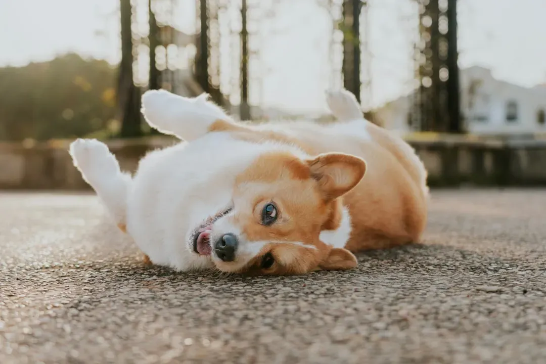 Conclusion: Matching Energy to Lifestyle (Image Credits: Unsplash)