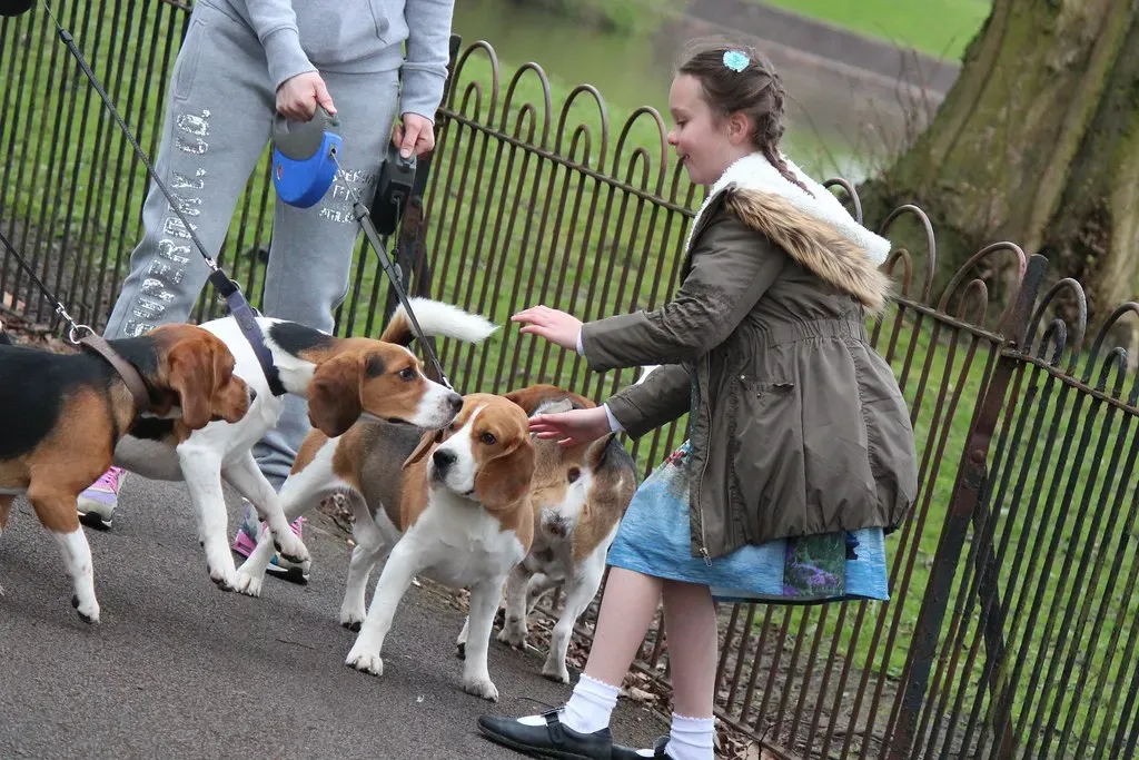 The Exact Spot Where Something Exciting Happened (Image Credits: Flickr)