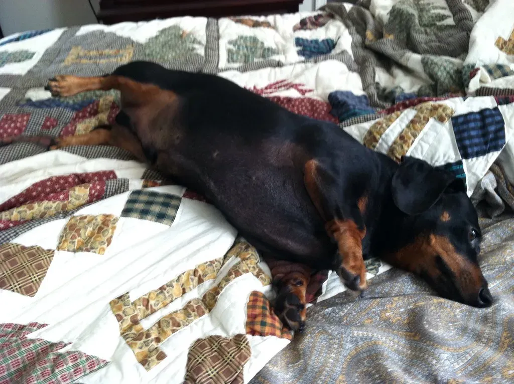 How to Respond the Right Way (Image Credits: Flickr)