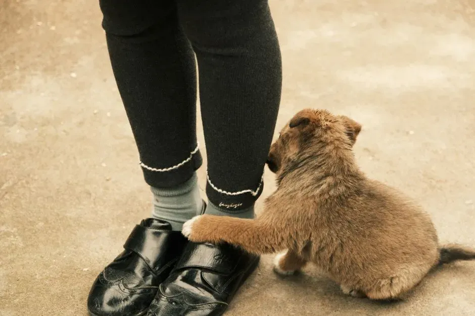 #11 – Leaning or Pressing Against Your Legs (Image Credits: Pexels)