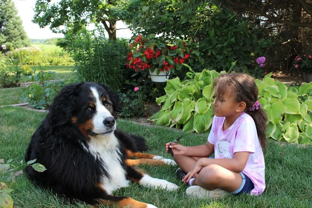 #6 - Letting Kids and Dogs "Work It Out Themselves" (Image Credits: Unsplash)