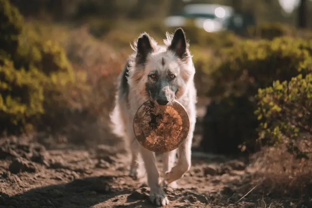 A Strange Habit That Actually Makes A Lot Of Sense (Image Credits: Unsplash)