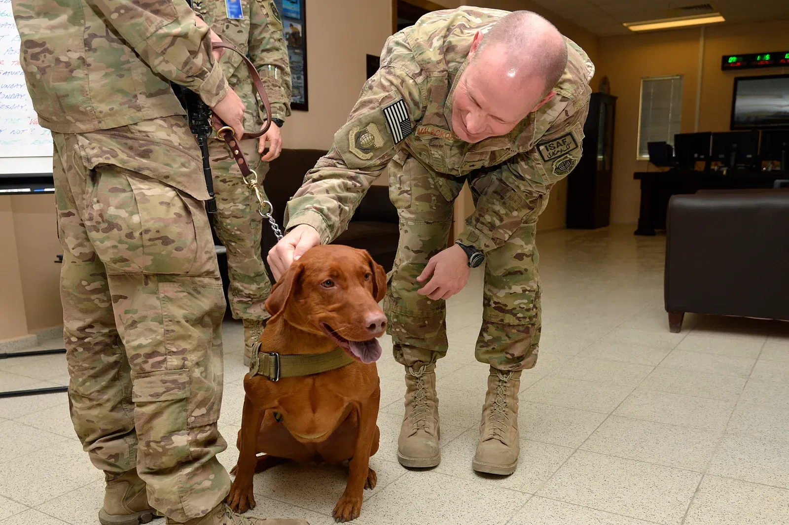 6. Watch for Behavioral Changes That Signal Something Deeper (Image Credits: Wikimedia)