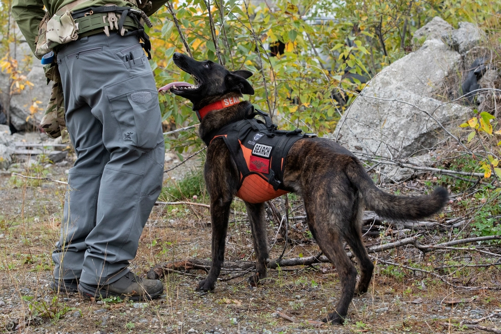 Sagittarius: The Patient Adventure Seeker (Image Credits: Rawpixel)